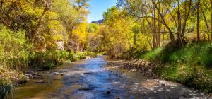 Colors-Alpng-the-Creek-scaled