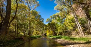 Fall-Colors-in-Aravaipa-scaled