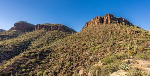 Hill-of-Saguaros-scaled