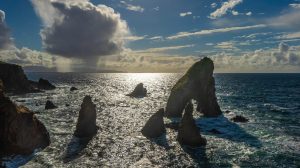 Crohy-Head-Silouette-scaled