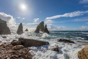 Crohy-Head-with-Sun-scaled