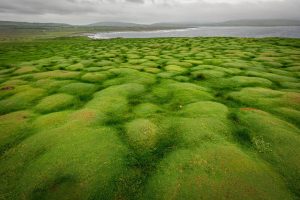 Green-Mounds-at-Downpatrick-Head-scaled