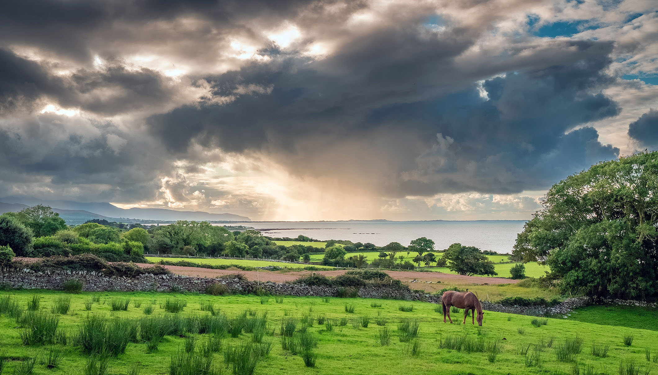 Ireland – Fall 2025